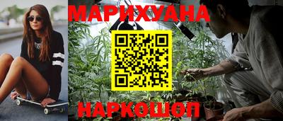 сатива Бузулук