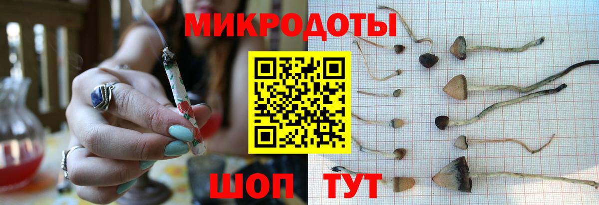Чехов  Псилоцибиновые грибы Magic Shrooms  Вход с VPN  Псилоцибиновые грибы мухоморы 